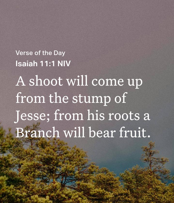 Isaiah 11:1, Bible prophecy, Stump of Jesse, Branch of Jesse, Messianic prophecy, Hope and renewal, Righteous reign, Old Testament, Christian theology, Biblical interpretation