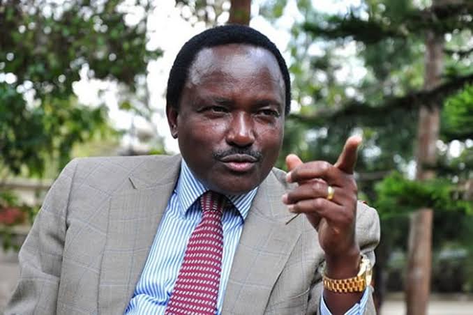 Kalonzo Musyoka, President William Ruto, Cabinet reshuffle, Kenya politics, Wiper Party, political survival, Kenya Human Rights Commission, ethnic balance, gender equality, governance, opposition criticism, political leadership, inclusivity, Kenya government, political alliances, Ruto administration