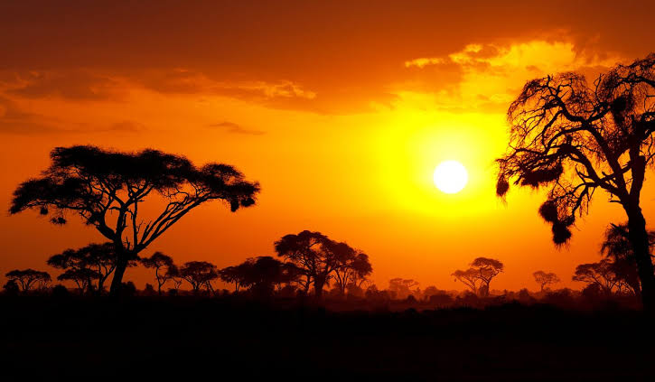Kenya Travel, Beautiful Places in Kenya, Top Destinations in Kenya, Kenya Safari, Kenyan Beaches, Maasai Mara, Diani Beach, Mount Kenya, Lamu Island, Kenyan Wildlife, Travel to Africa, Best Tourist Attractions in Kenya, Adventure Travel Kenya, Kenyan Culture, Safari Experiences
