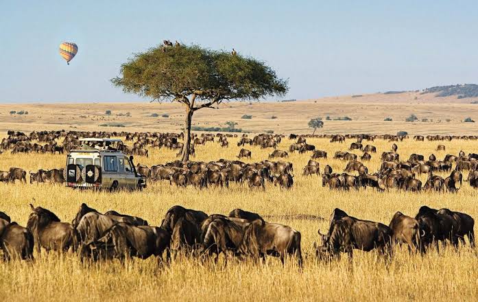 Kenya Travel, Beautiful Places in Kenya, Top Destinations in Kenya, Kenya Safari, Kenyan Beaches, Maasai Mara, Diani Beach, Mount Kenya, Lamu Island, Kenyan Wildlife, Travel to Africa, Best Tourist Attractions in Kenya, Adventure Travel Kenya, Kenyan Culture, Safari Experiences