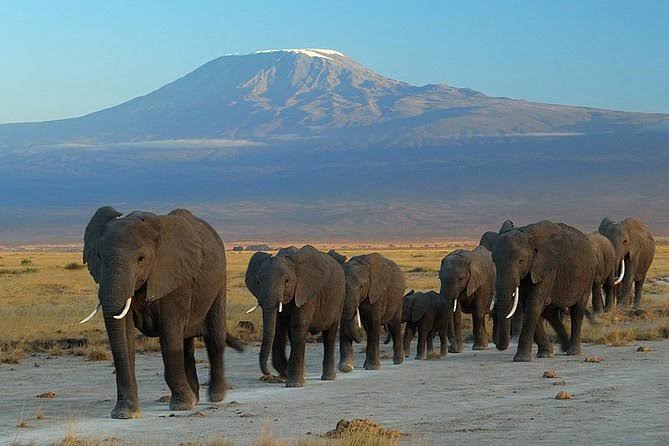 Kenya Travel, Beautiful Places in Kenya, Top Destinations in Kenya, Kenya Safari, Kenyan Beaches, Maasai Mara, Diani Beach, Mount Kenya, Lamu Island, Kenyan Wildlife, Travel to Africa, Best Tourist Attractions in Kenya, Adventure Travel Kenya, Kenyan Culture, Safari Experiences