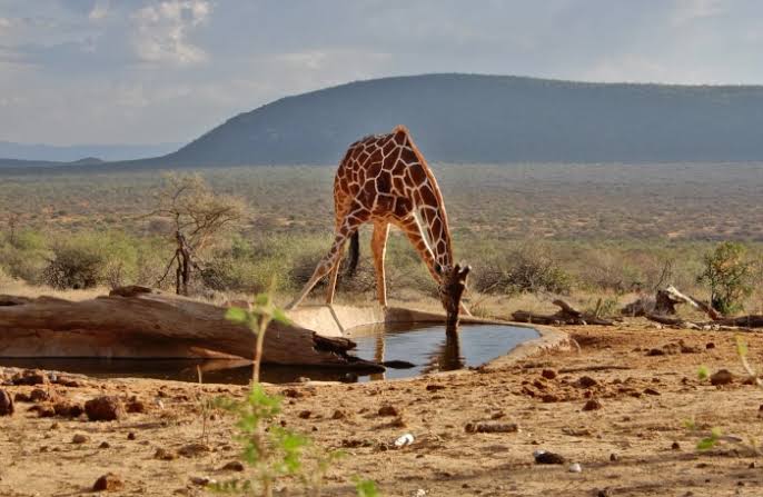 Kenya Travel, Beautiful Places in Kenya, Top Destinations in Kenya, Kenya Safari, Kenyan Beaches, Maasai Mara, Diani Beach, Mount Kenya, Lamu Island, Kenyan Wildlife, Travel to Africa, Best Tourist Attractions in Kenya, Adventure Travel Kenya, Kenyan Culture, Safari Experiences
