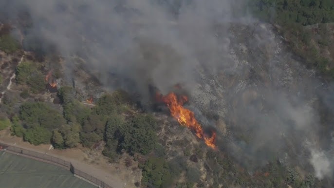 pacificpalisades, brushfire, wildfire, evacuations, santaanawinds, lafd, firefighter, californiawildfire, pacificpalisadesfire, wildfirealert, fireemergency, losangelesfires, windstorm, santaanawind, wildfireseason, californiafires, firefighting, emergencyresponse, fireevacuation, fireupdates