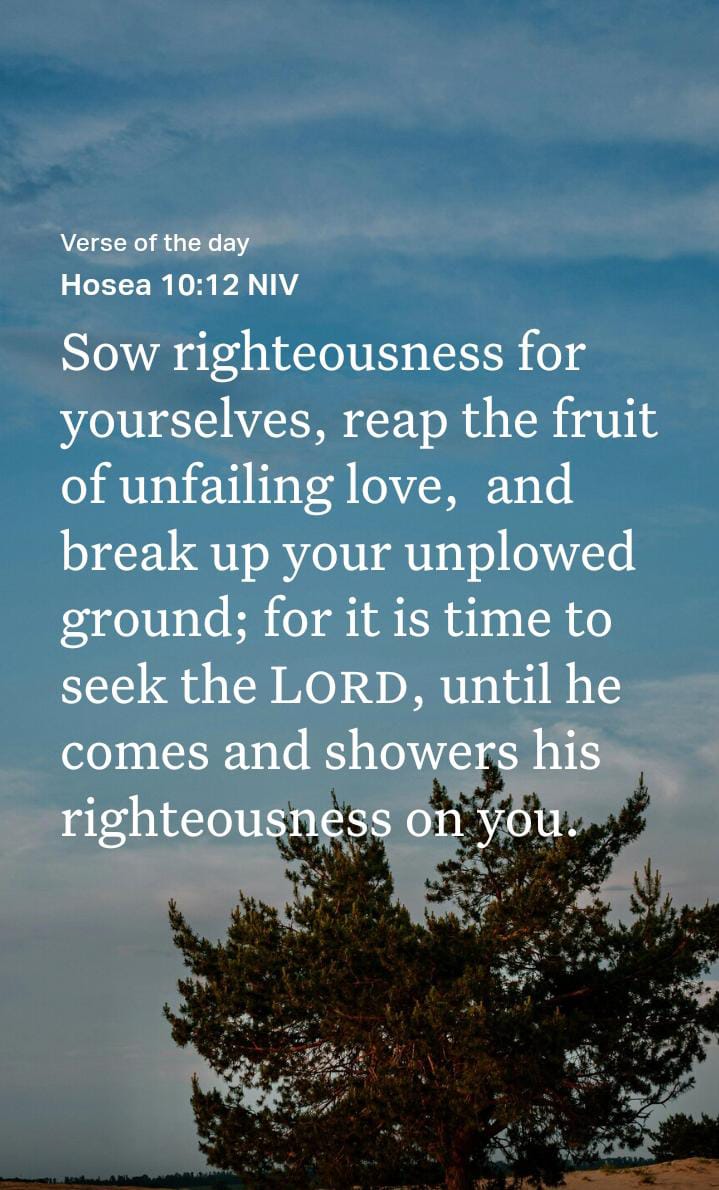Hosea 10:12, Bible verse explained, righteousness, seeking God, spiritual growth, repentance, unfailing love, breaking unplowed ground, Christian living, blessings of God, faith and action.
