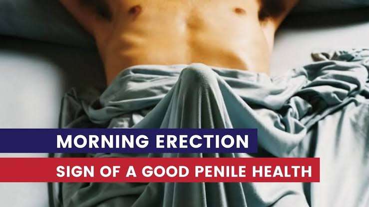 why men wake up with erections, morning wood meaning, nocturnal penile tumescence explained, why erections happen during sleep, testosterone morning peak, male sexual health signs, causes of morning erections, REM sleep erections, erectile health indicators, why men get hard in the morning