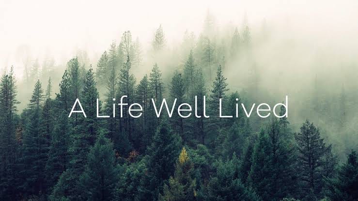 life well-lived, how to live a meaningful life, meaning of life, life purpose, meaningful life, happy life, successful life, personal growth, self-discovery, life lessons, finding purpose, living a good life, how to live better, happiness and purpose, life goals, personal development, emotional well-being, meaningful relationships, self improvement, authentic living, life advice, what makes life meaningful, living with purpose, life fulfillment, inspirational life lessons